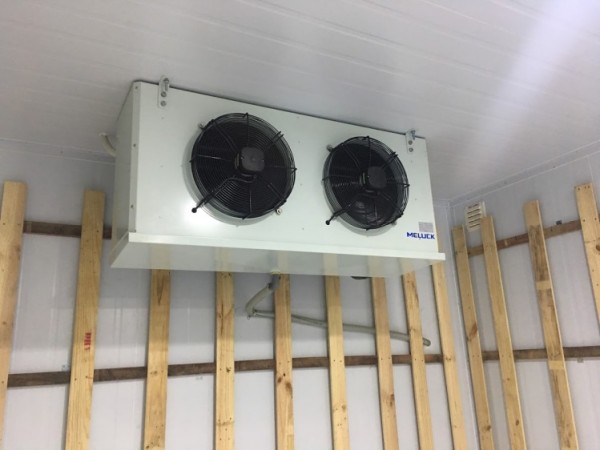 dan-lanh-meluck-dd-2-1