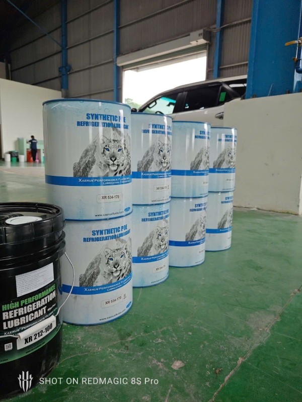 480425189_122171022662267667_9085577025021300522_n