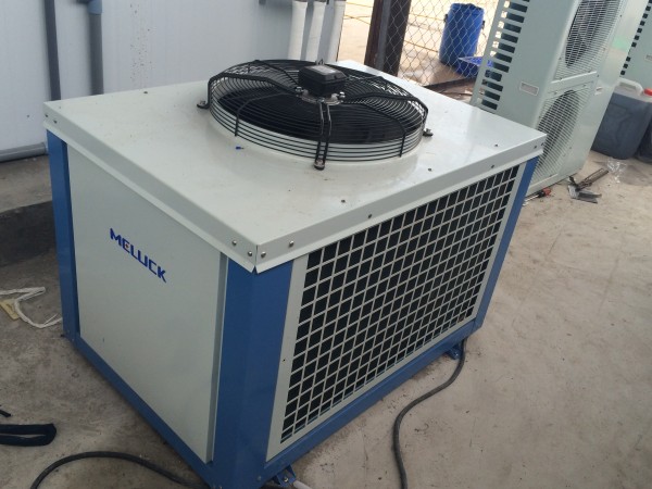 CUM MAY EMERSON (62)