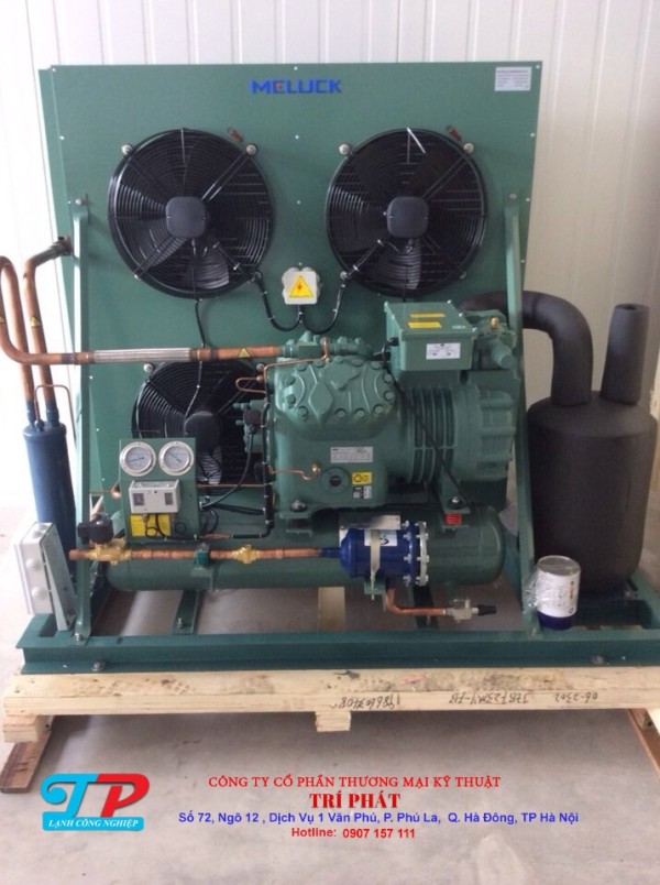 CUM MAY MELUCK- MAY BITZER (40) - Copy