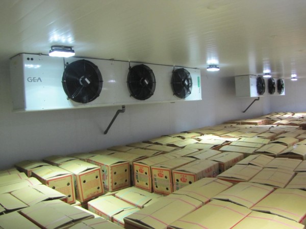 DÀN LẠNH KUEBA SPBE072D – 15HP | THIẾT BỊ LÀM LẠNH CAO CẤP ĐẾN TỪ ĐỨC