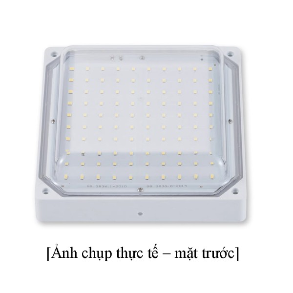 Image_20250417224403