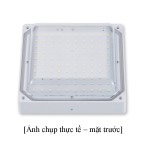 Image_20250417224403