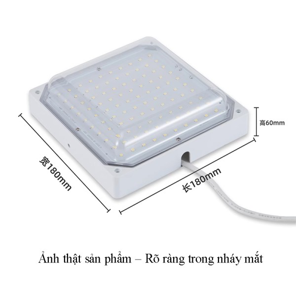 Image_20250417224408