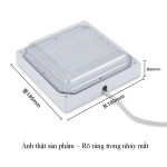 Image_20250417224408