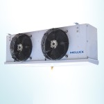 Meluck-1